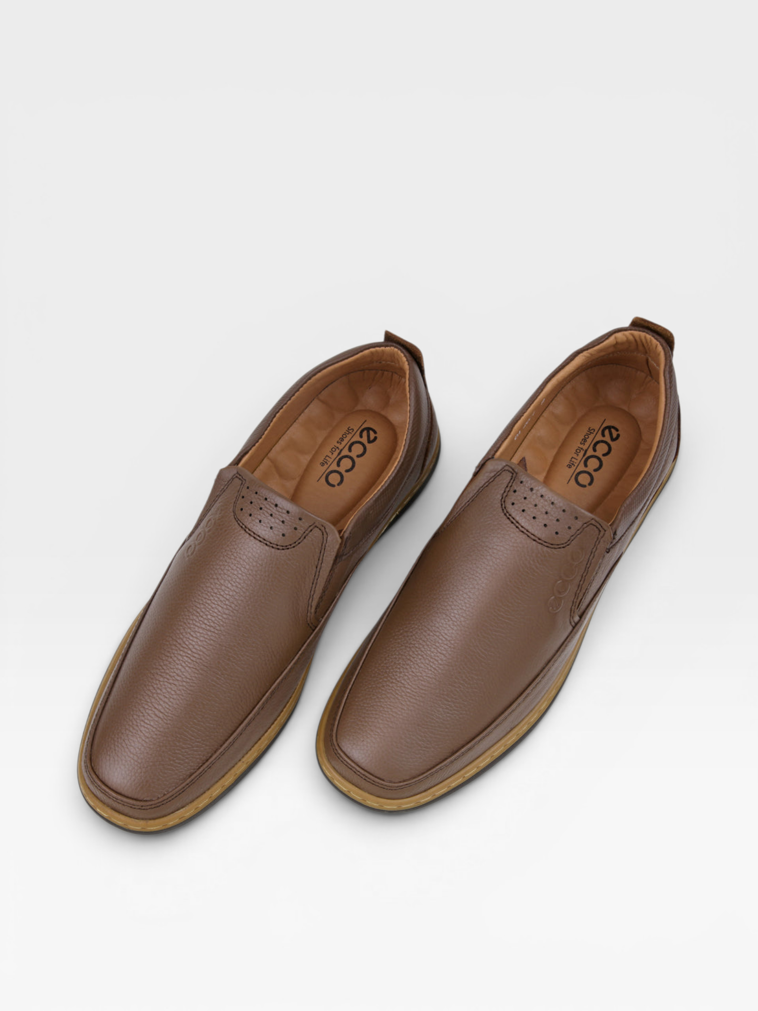 Premium Leather Ecco Medicated Shoe-2071