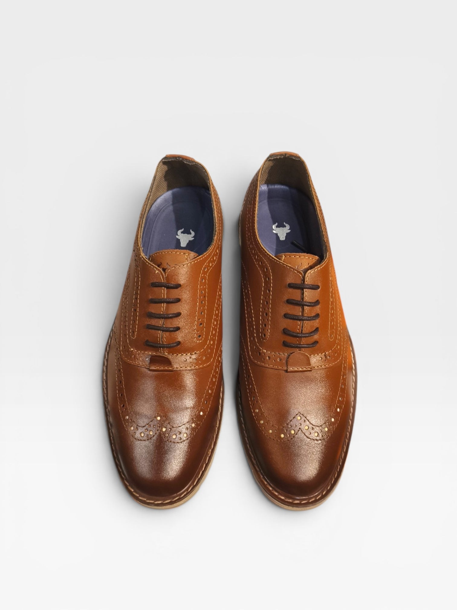 Hybrid Brogue shoe -Ox02